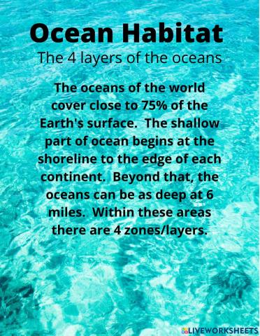 Ocean Habitat