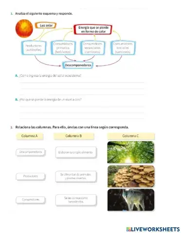 Relación de alimentación entre organismo