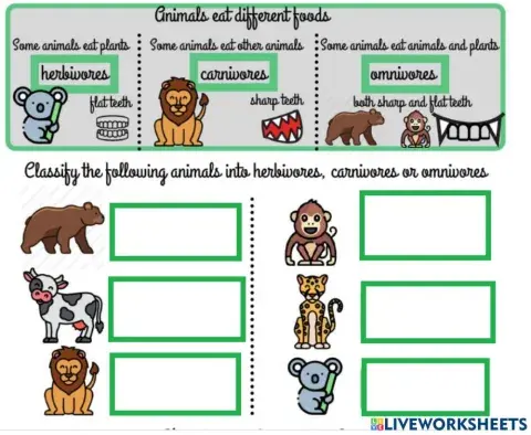 Animals eat different things