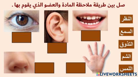 الحواس الخمس