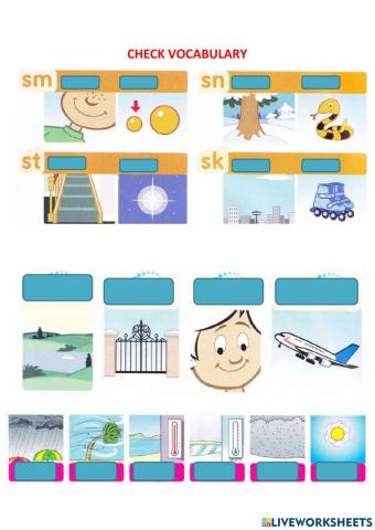 Check vocabulary family