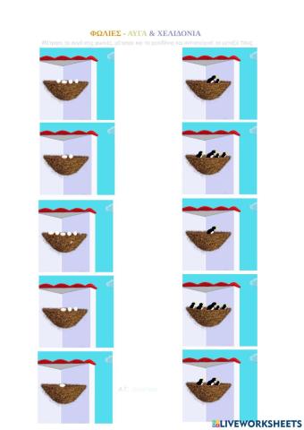 Αυγά & Χελιδόνια