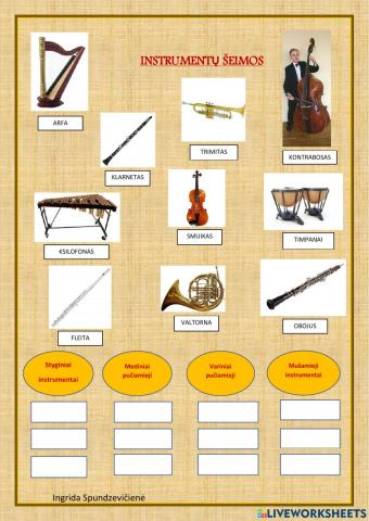 Instrumentų šeimos