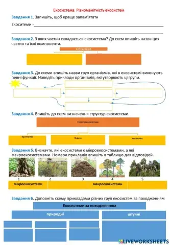 Екосистема. Різноманітність екосистем