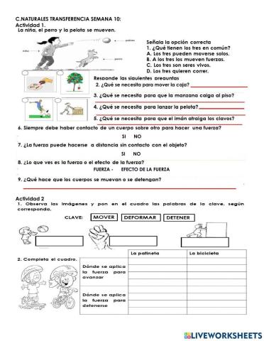 C.N-Transferencia Semana 10