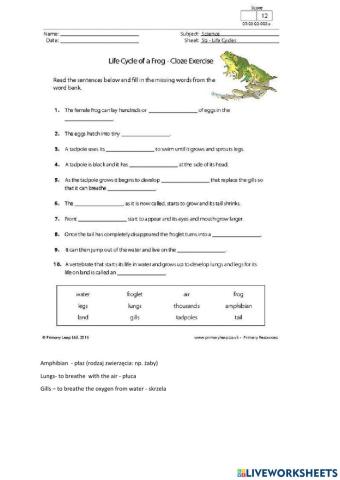 Life cycle of a frog