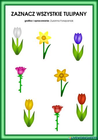 Zaznacz wszystkie tulipany