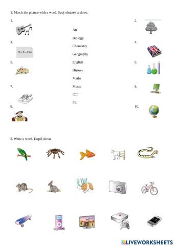 Project 1 unit3 vocabulary