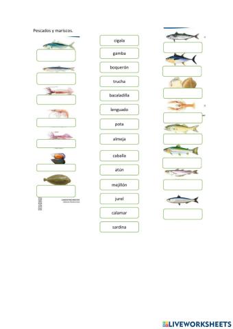 Pescados y mariscos 1