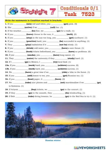 Spotlight 7 Task 7523