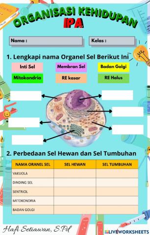 Organisasi Kehidupan - Sel