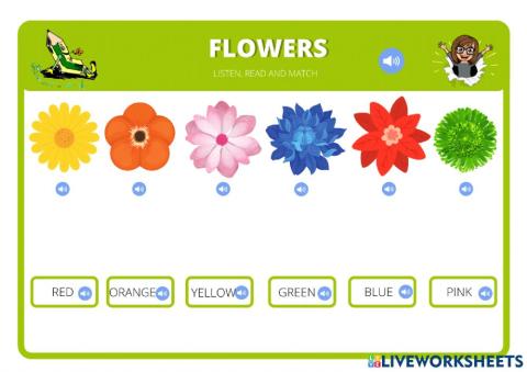 Colour Flowers