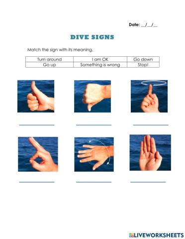 Dive signs