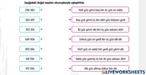 6 Basamaklı Sayıları Eşleştirelim