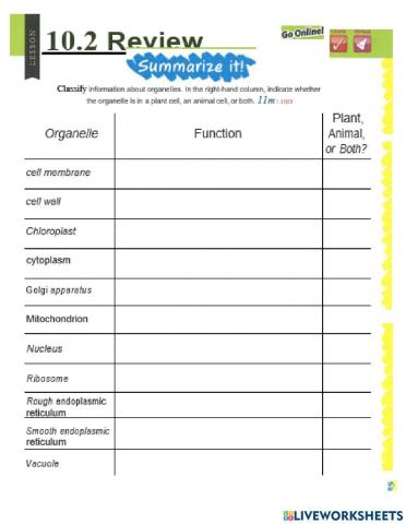 Cell Organelles & Function