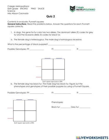 Punnett Squares- Quiz 2