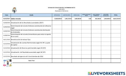 Estado de evolución del patrimonio neto