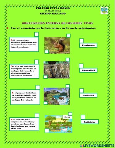 Organización externa de los seres vivos