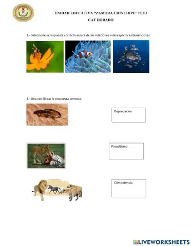 Relaciones interespecificas e intraespecificas