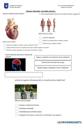 Importancia de la alimentación saludable