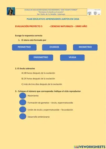 Autoevaluación proyecto 5