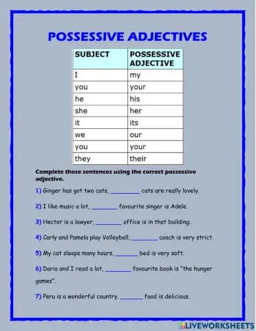 Possessive adjectives