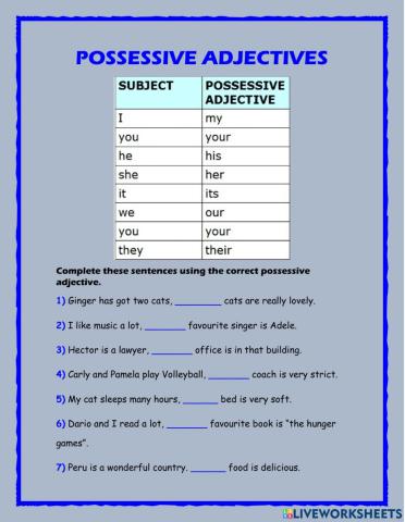 Possessive adjectives