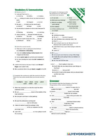 Pioneer Pre-Intermediate Module 4. Test