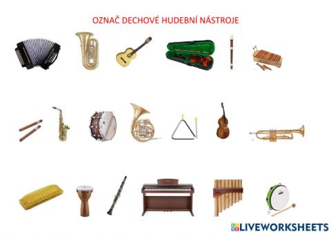 Dechové hudební nástroje