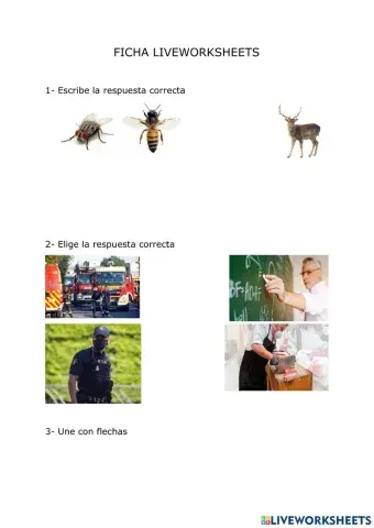 Ficha voluntaria Hugo