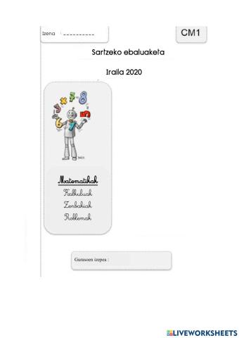 Matematikako ebaluaketa orokorra