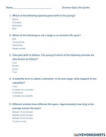 Life Cycle Quiz