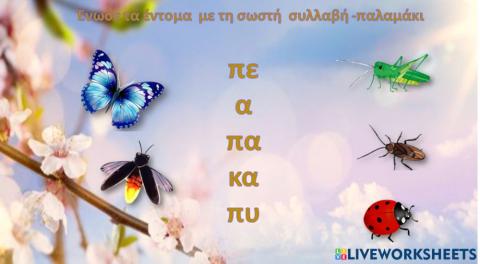 Εντομα