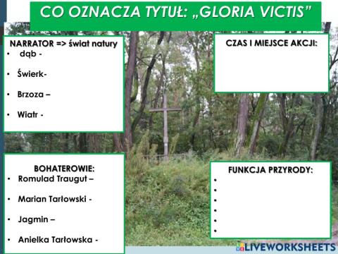 Eliza Orzeszkowa Gloria Victis