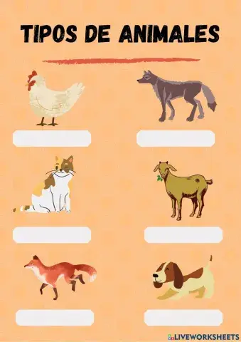 Tipos de animales