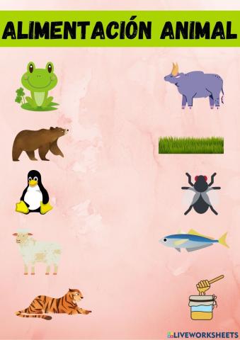 Animales y su alimentación