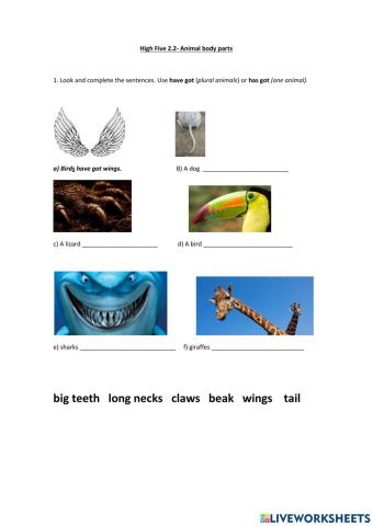 Animal review has got have got