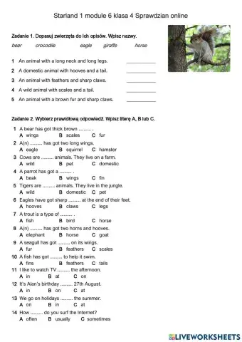 Starland 1 unit 6 sprawdzian