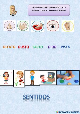 Sentidos