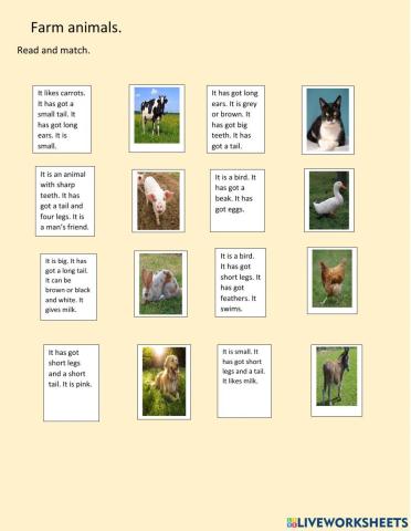 Farm animals. Reading comprehension.
