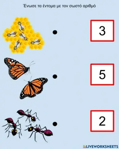 Έντομα και αριθμοί