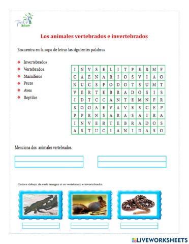 Los animales vertebrados e invertebrados