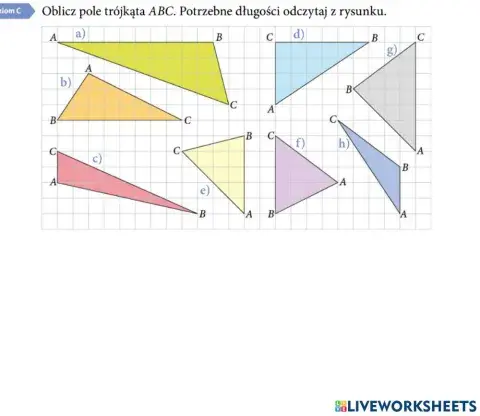 Praca domowa Pole trójkąta
