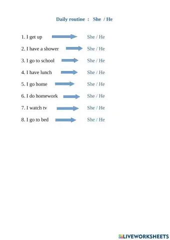 Explore Treetops 3 daily routine she he