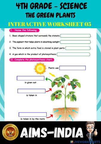 4th-science-ps05-the green plants