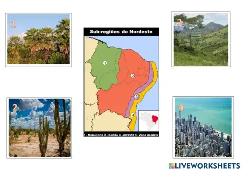 Sub Regiões do Nordeste