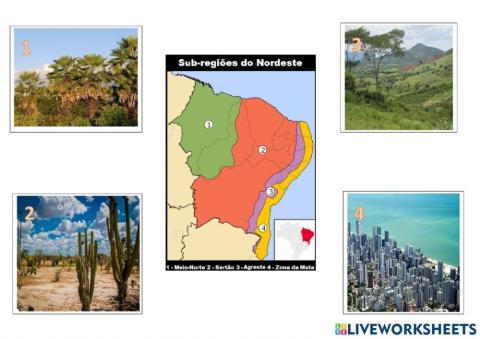 Sub Regiões do Nordeste
