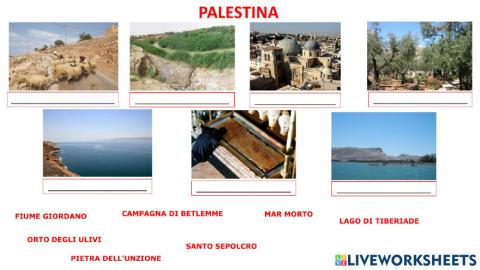 Palestina