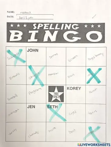 Bingo - Matthew