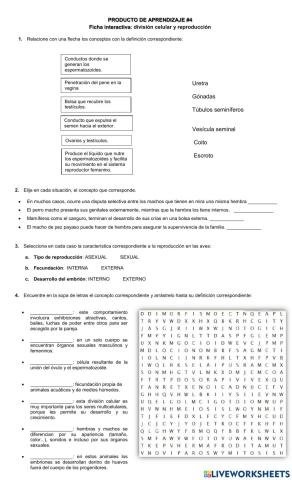 Reproducción y división celular